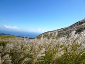 �ɓ��E���ז썂���u�H�̂������C�x���g�v���͘p��]�މ����̐�i�I�̋L���T���l�C��