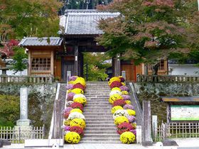 �C�P������u�e����v�e�ōʂ�ꂽ"�ɓ��̏����s"���U�􂵂悤�̋L���T���l�C��