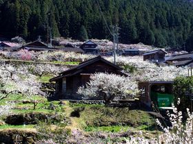 u~̗ 씄vu ͒Í؁vցImO͂R̓̋LTlC