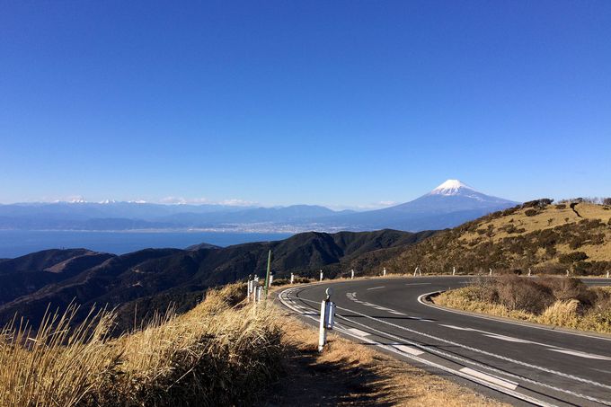 見晴らし最高！富士山と駿河湾の絶景ライン