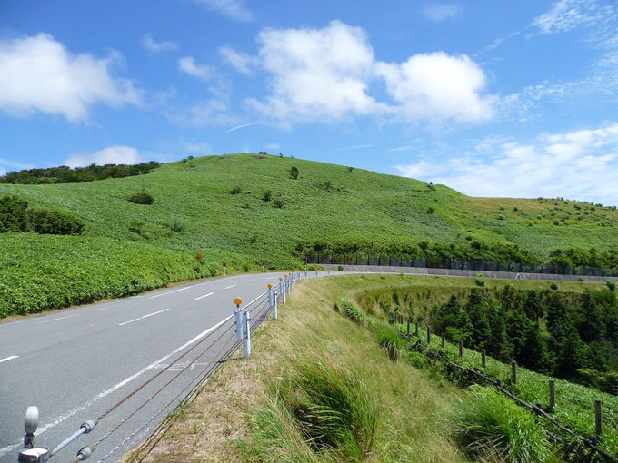 空と海と富士山の絶景 西伊豆スカイライン 西天城高原 牧場の家 静岡県 トラベルjp 旅行ガイド