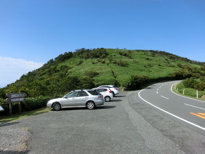 駐車場から15分！達磨山の山頂で大パノラマを堪能