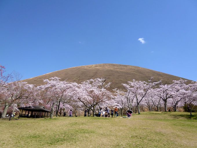 ɓ̂ЂƂ̍X|bgu̗vI