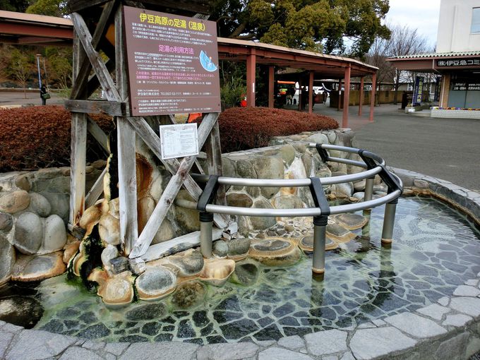 ԌƈꏏɊy߂錩ǂЉI