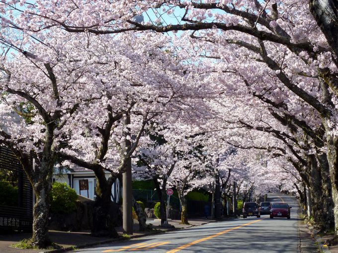 ĂhCuĂōÎ悤"̃gl"