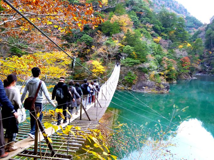 吊橋の名所 大井川流域のお薦め吊橋７選 夢の吊橋から畑薙大吊橋まで 静岡県 Lineトラベルjp 旅行ガイド