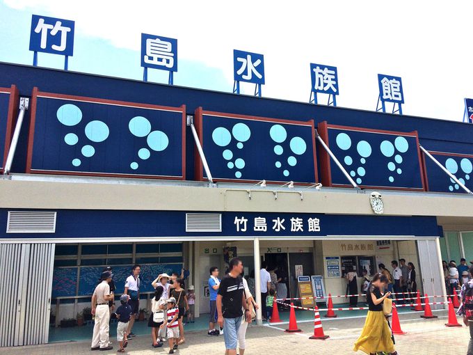 竹島水族館(通称：タケスイ)は、めっちゃ面白い！