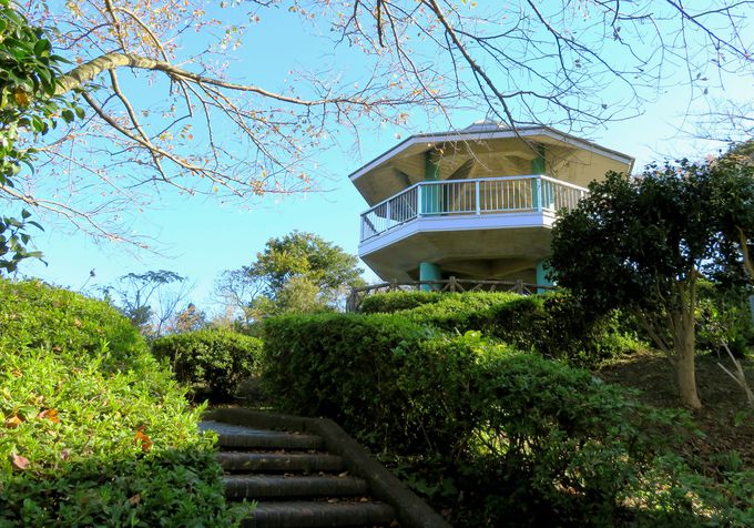 ���e���X�ȊO�̓W�]�X�|�b�g����i�����\���悤