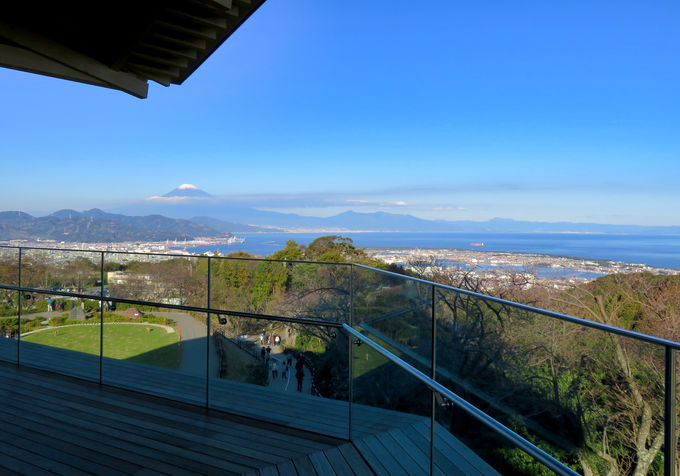 �x�m�R����]�I360�x�̑�p�m���}