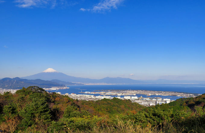 ���e���X�ȊO�̓W�]�X�|�b�g����i�����\���悤