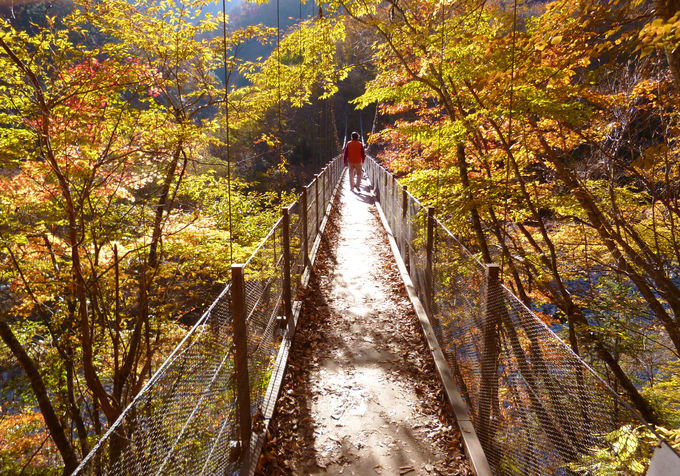 山梨 西沢渓谷 の渓谷美 紅葉と七ツ釜五段の滝のコラボが凄い 山梨県 Lineトラベルjp 旅行ガイド