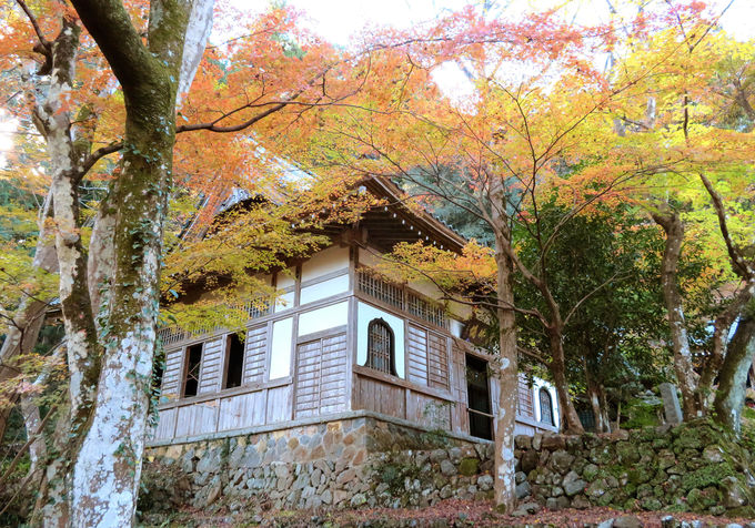 �`���ɂ����ځI�����̍g�t�̊y���ݕ�