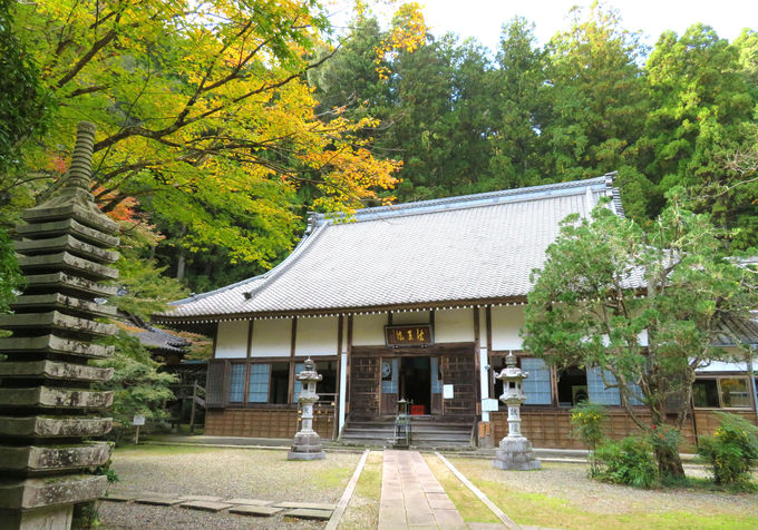 �g�t�ɍʂ�ꂽ�������U��I