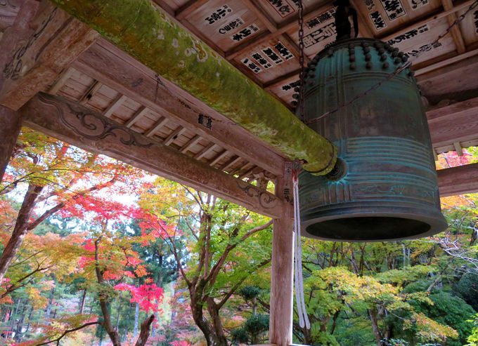 ���N11��23���́u�g�t�܂�v�I�߂��̏����_�Ђ����E��