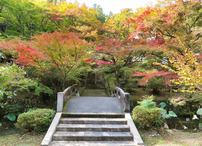 �g�t�ɍʂ�ꂽ�������U��I