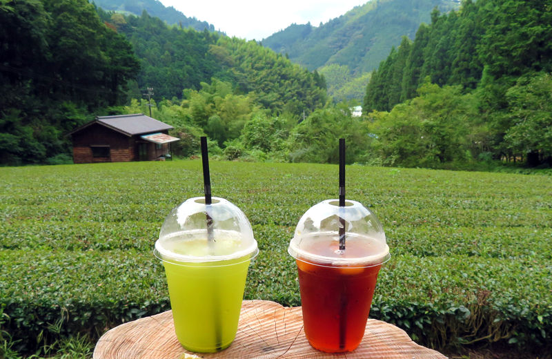静岡市「お茶屋さん直営カフェ」３選！銘茶産地のお茶と茶畑の絶景