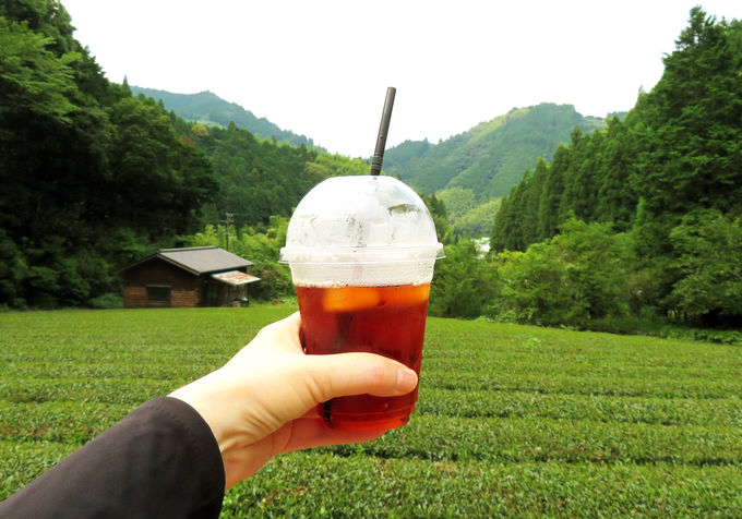 和紅茶が有名！名産地・両河内の「GREEN ∞ CAFE」