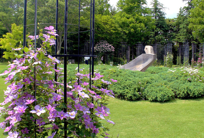 庭園と花と彫刻の調和を楽しもう！