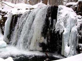 滝も凍る！雪と氷に彩られた奥入瀬渓流で、静寂の自然美を堪能