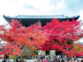 sETiϓ̍gt݂ǂSIIgt~̋Ŕ{̋LTlC