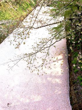 ���̂��イ���񁕐��E�꒷�������؁I�O�O�ŏo��t�̐�i�̋L���T���l�C��