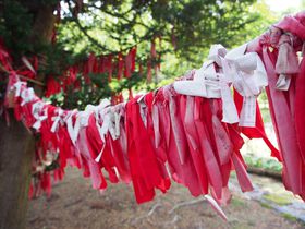 ����ŐԂ��z�����ׂΗ�������!?���u�K�q�їl�v�ŉ����ыF�肵�悤�̋L���T���l�C��