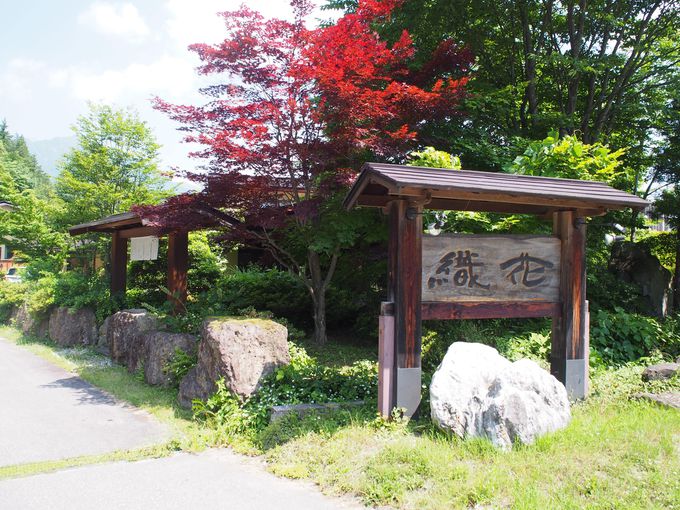 w15IAy[ǧ֌玊߂́uDԁv