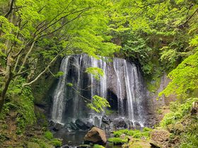 福島・猪苗代「達沢不動滝」は原生林に囲まれた名瀑！