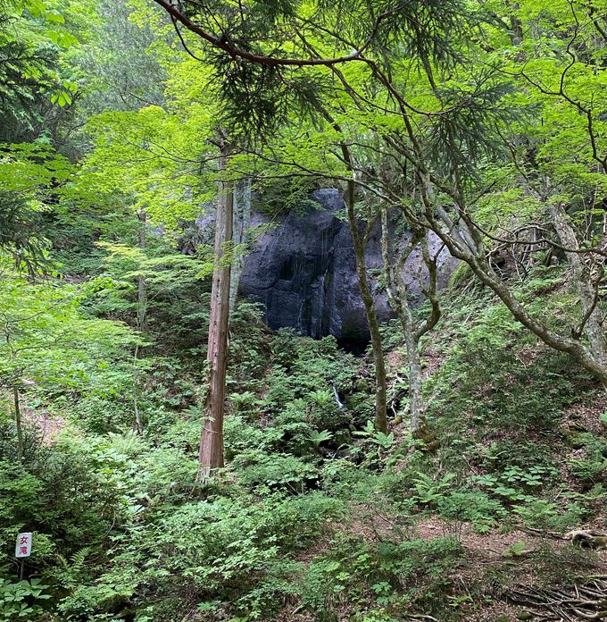 「男滝」と「女滝」の2つの滝からなる達沢不動滝