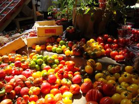 �����h���u�o���}�[�P�b�g�v�Ŏ��� �I�[�K�j�b�N��i���C�M���X�́u�H�v�ւ̂������̋L���T���l�C��