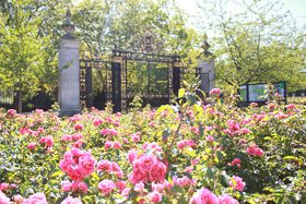 �Ԑ��胍���h���I�s�N�j�b�N���ł��邨�Ԍ��X�|�b�g4�I�̋L���T���l�C��