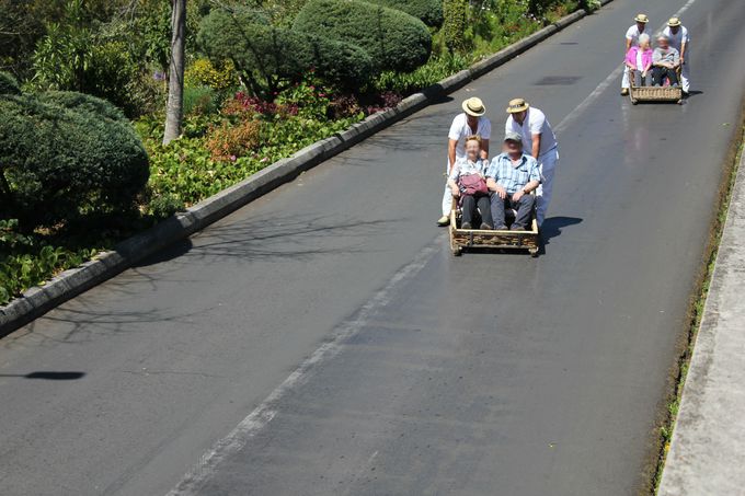 uP[uJ[vƁuh{KvŃe̋u𖞋i