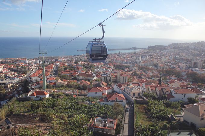 uP[uJ[vƁuh{KvŃe̋u𖞋i