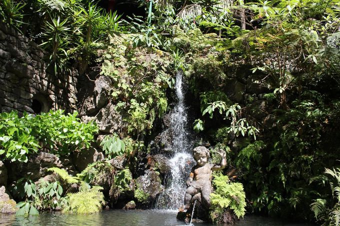 uP[uJ[vƁuh{KvŃe̋u𖞋i