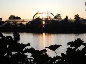 ロンドン「キューガーデン」秋冬でも楽しめる世界遺産の植物園
