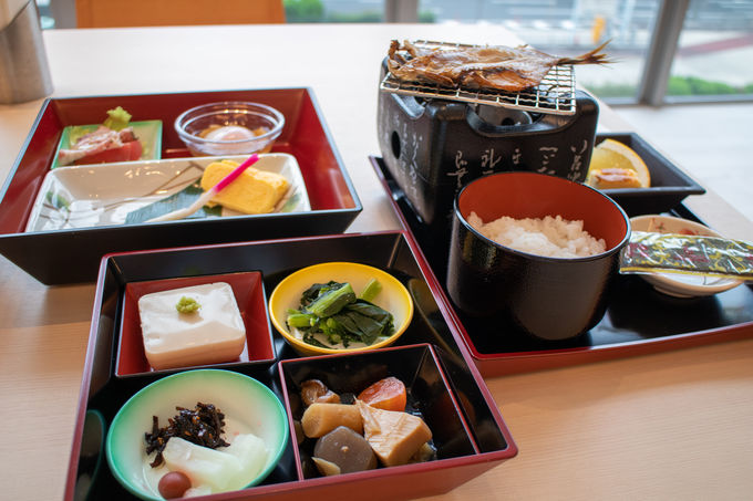 ܂ŗق̂悤ȁA{[_̒H