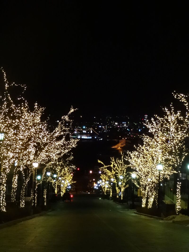 光に包まれた八幡坂から見る景色
