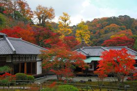 �K�K�I�G�ߌ���ŏT������̌���g�t�X�|�b�g�I���q�u�������v�̋L���T���l�C��