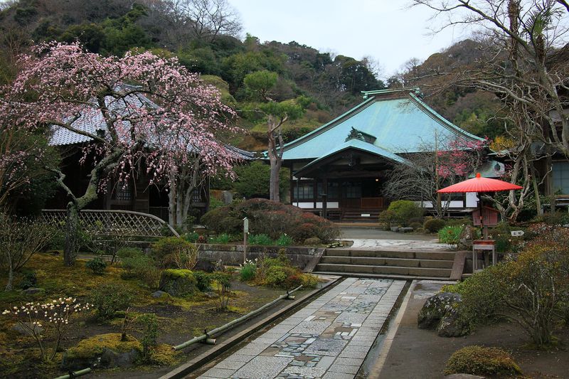 四季折々に咲く花は必見！鎌倉「海蔵寺」庭園の魅力に迫る！ | 神奈川県 | トラベルjp 旅行ガイド