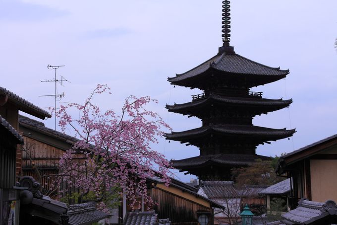 必見 京都 八坂の塔 を綺麗に見られるポイント４選 京都府 トラベルjp 旅行ガイド