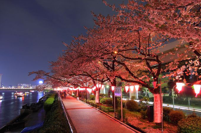 花見やパワースポットも 隅田川だけじゃない 隅田公園 の魅力 東京都 Lineトラベルjp 旅行ガイド