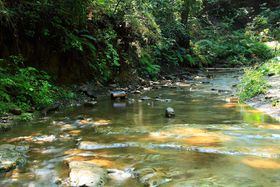 ���l�s�̒������ɔ������k�J���I���̖����u�w�����k�J�����v�̋L���T���l�C��