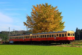 KIHFɐ܂オtssucv̋LTlC