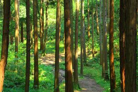 h鑁H̓ciIlkuƂӂ邳Ƒv̋LTlC