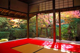 �g�t�뉀�̔������͊i�ʁI����x���������s�u���S���j�t�@�v�̋L���T���l�C��