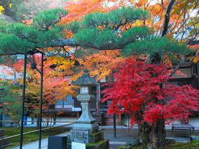 必訪！南禅寺の裏手に佇む紅葉の穴場！京都「最勝院高徳庵」