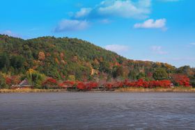 �Ί݂̗��R���i�ɍ��ꍛ��I�g�t�̋G�߂̋��s�u�L��r�v�͊J�������Q�I�̋L���T���l�C��