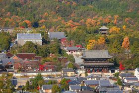 �ӏH�̍g�t��Ɛ��ԁI�n�C�L���O�C���œo�鋞�s�u�o���u�v�̋L���T���l�C��