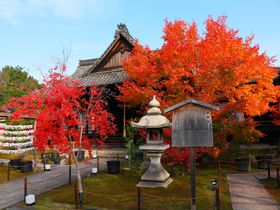 穴場度満点！「東福寺」塔頭の京都「勝林寺」の真っ赤な紅葉庭園