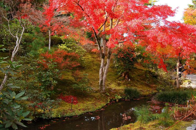 これぞ、ニッポンの紅葉「嵐山」。大人気の天龍寺も攻略！